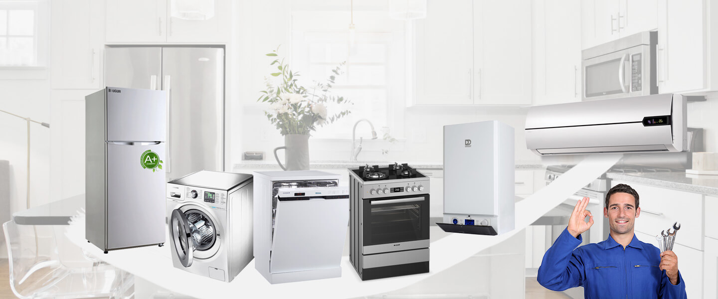 Bursa Electrolux Servisi